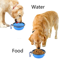 Foldable Silicone Bowl for Pet Food and Water
